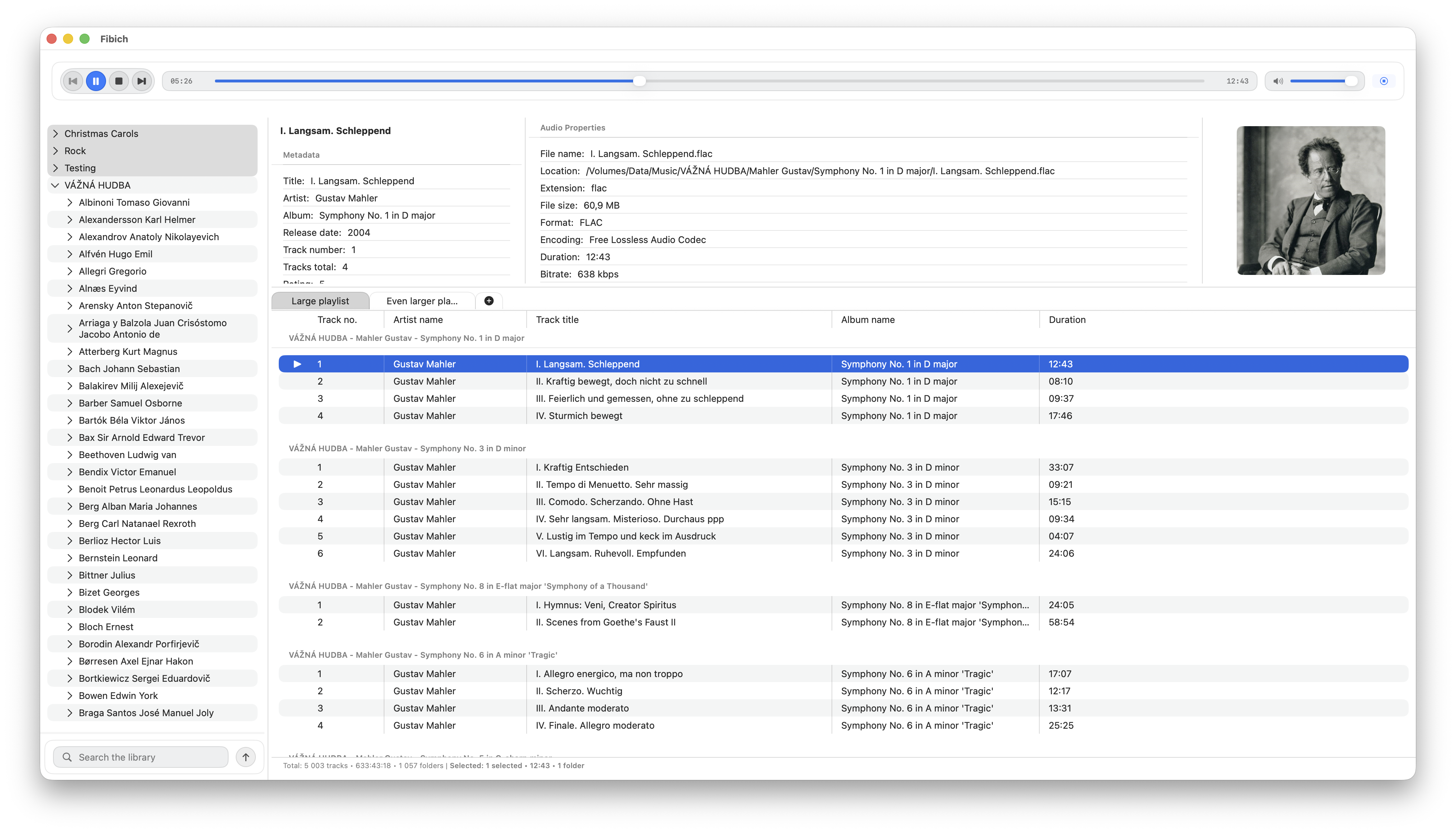 Fibich interface with a large playlist